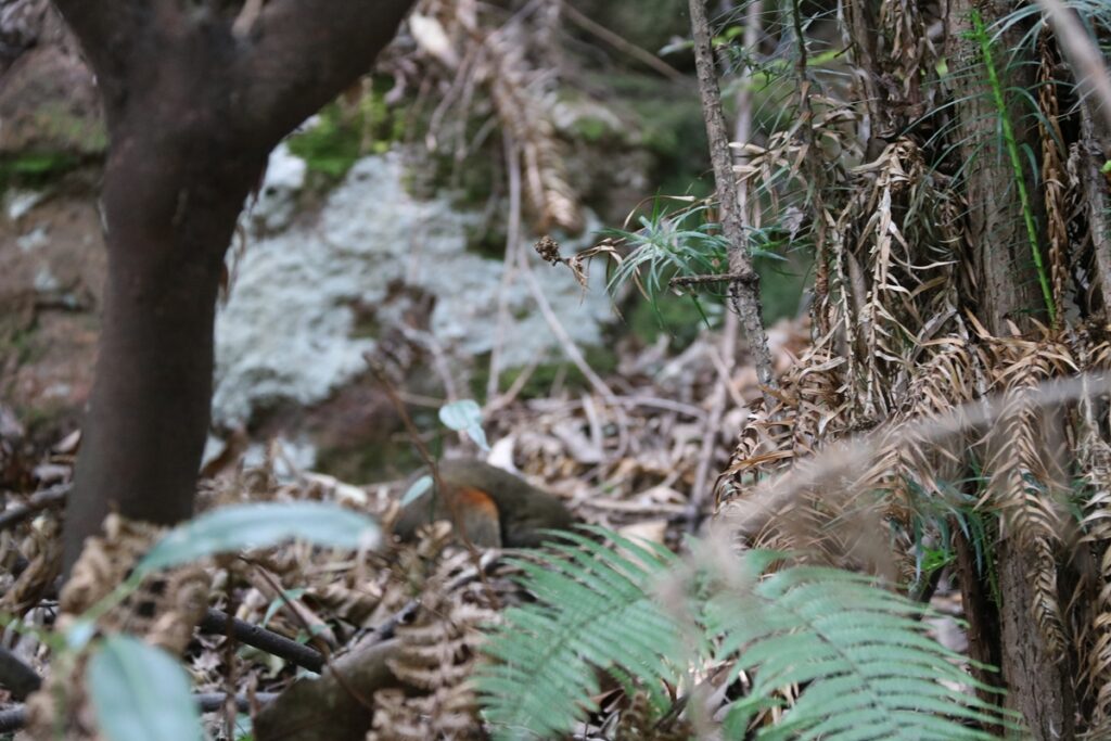 图片[74]-张家界天门山-2016年9月24日-聚微达人