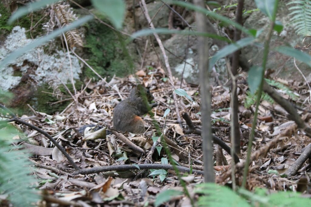图片[76]-张家界天门山-2016年9月24日-聚微达人