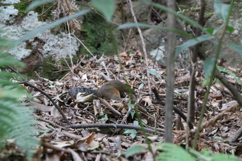 图片[75]-张家界天门山-2016年9月24日-聚微达人
