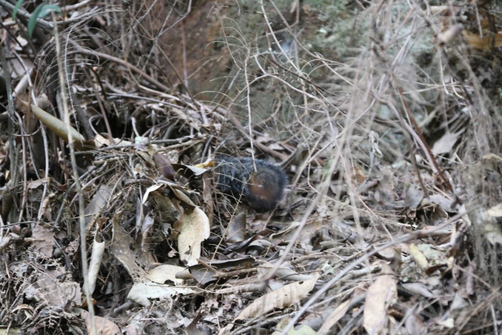 图片[70]-张家界天门山-2016年9月24日-聚微达人