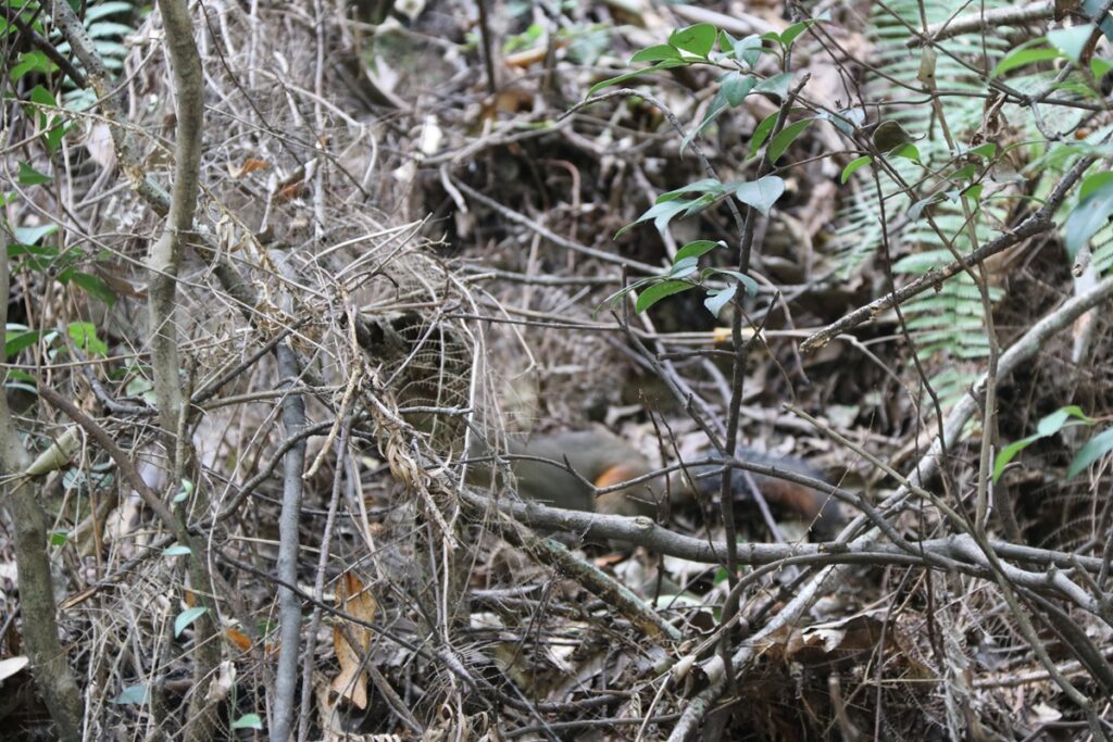 图片[71]-张家界天门山-2016年9月24日-聚微达人