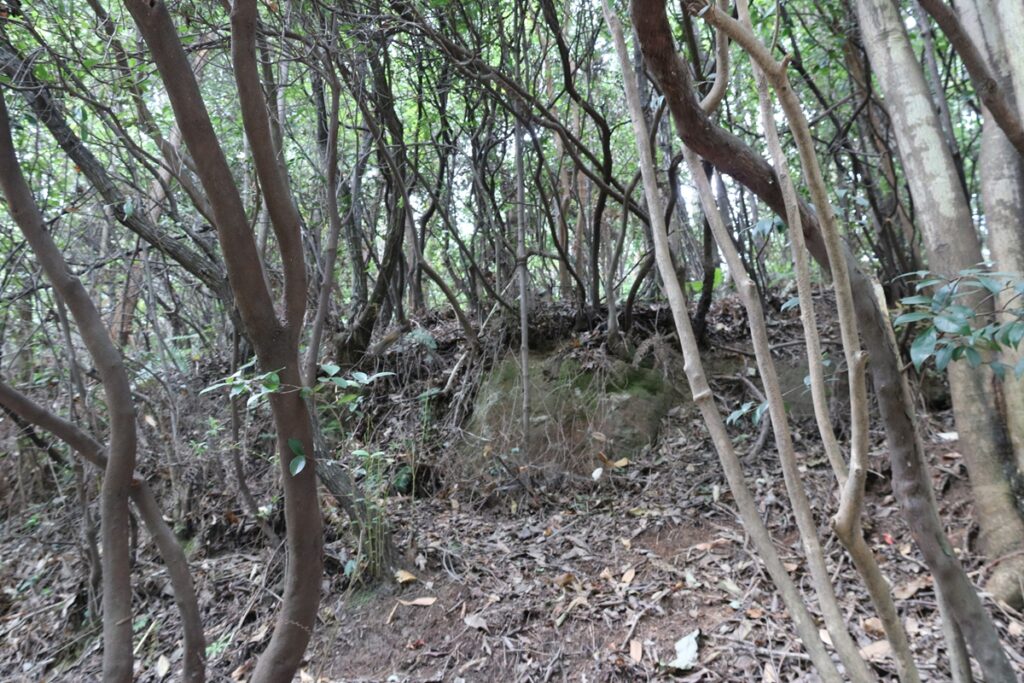 图片[69]-张家界天门山-2016年9月24日-聚微达人