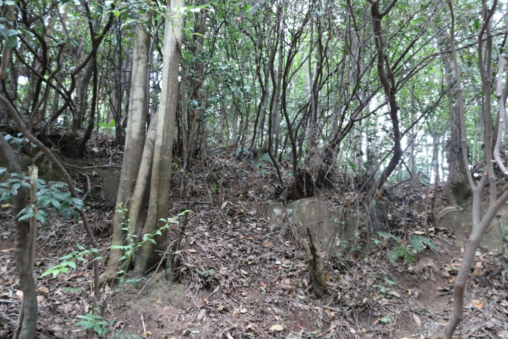 图片[68]-张家界天门山-2016年9月24日-聚微达人