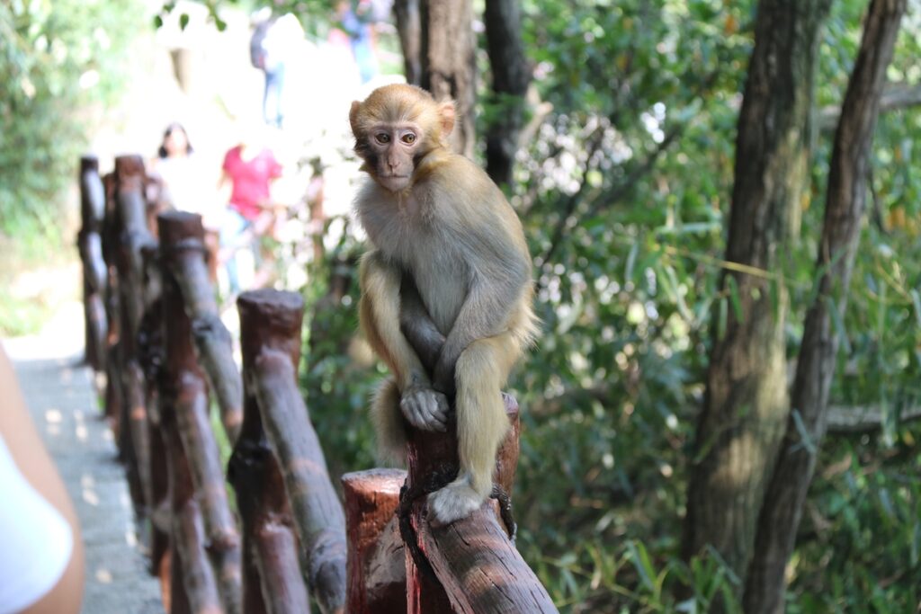 图片[95]-张家界天门山-2016年9月24日-聚微达人