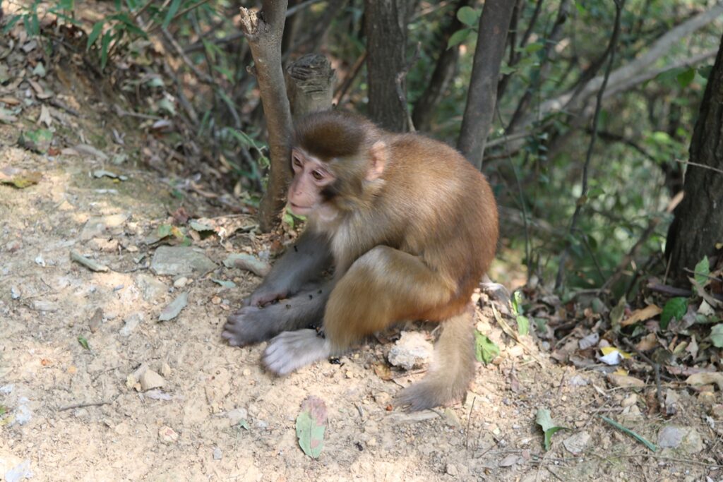 图片[93]-张家界天门山-2016年9月24日-聚微达人