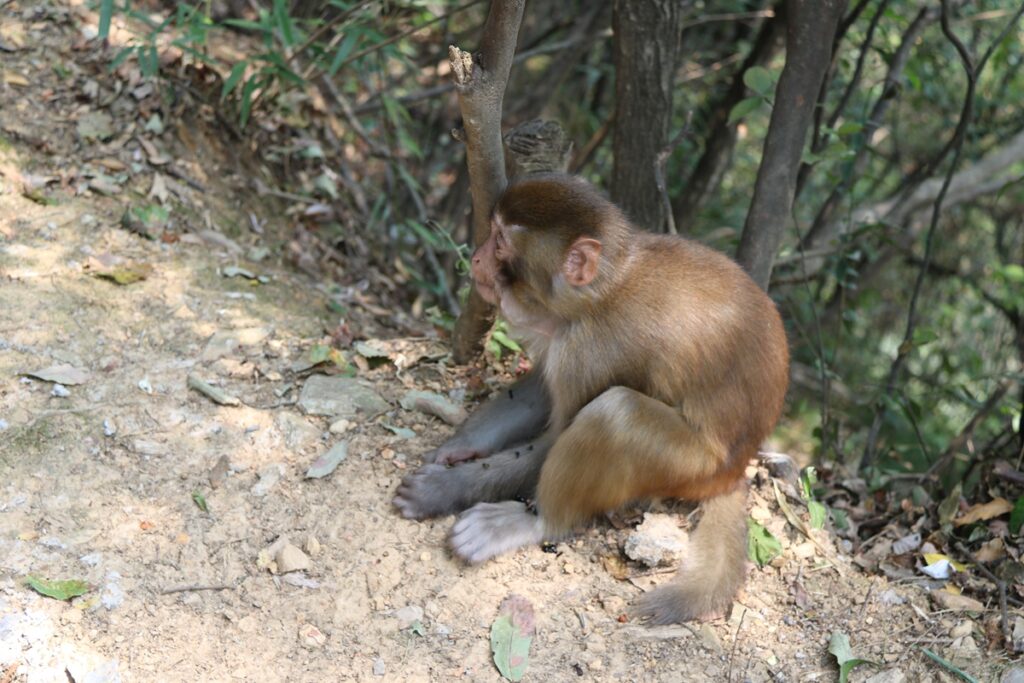图片[94]-张家界天门山-2016年9月24日-聚微达人