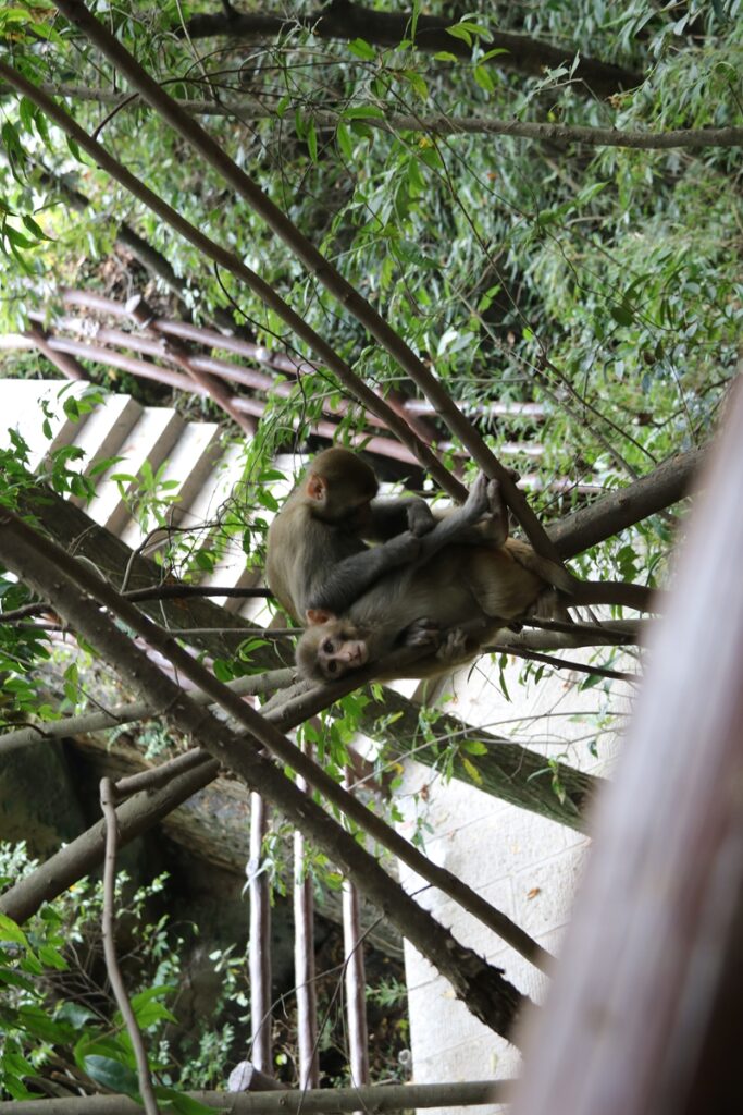 图片[99]-张家界天门山-2016年9月24日-聚微达人