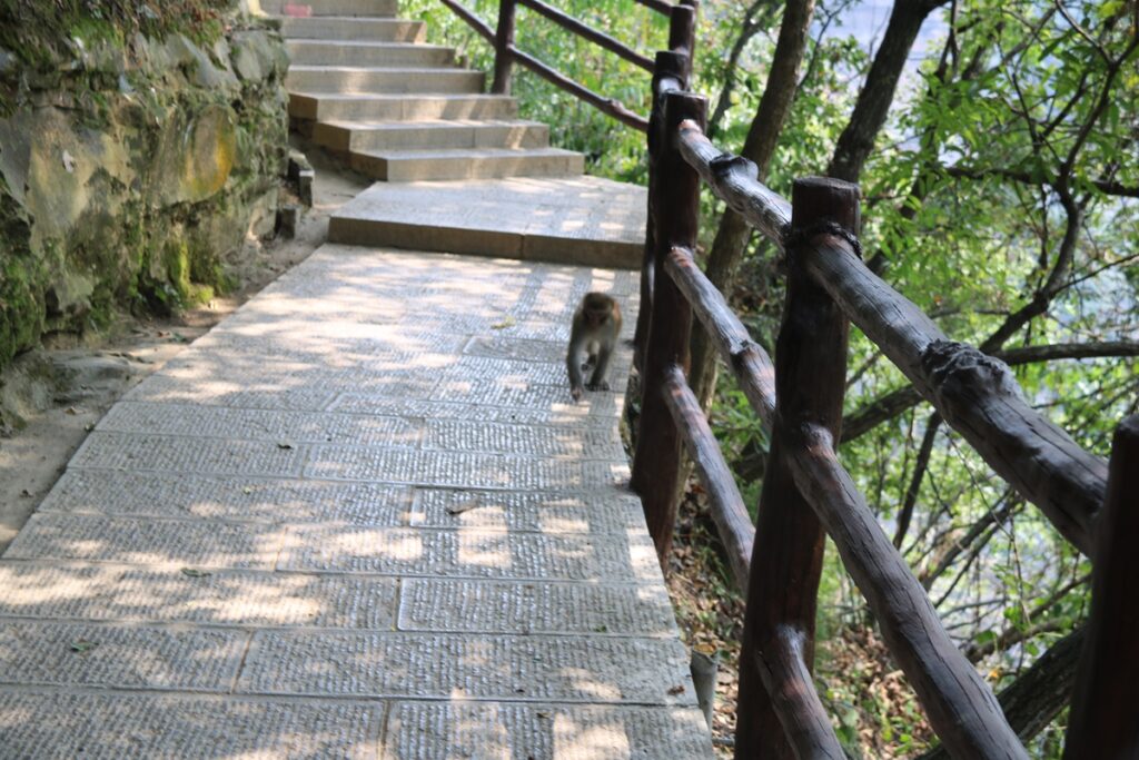 图片[92]-张家界天门山-2016年9月24日-聚微达人