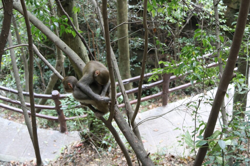图片[98]-张家界天门山-2016年9月24日-聚微达人
