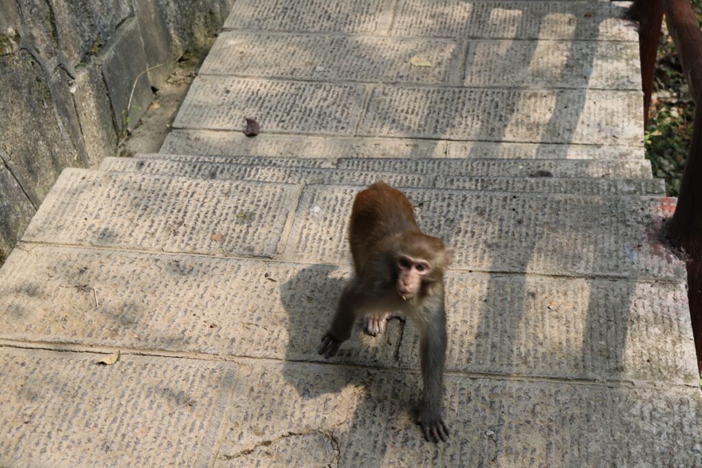 图片[91]-张家界天门山-2016年9月24日-聚微达人