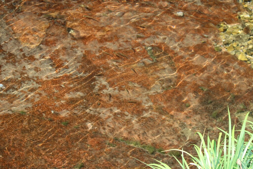 图片[100]-张家界天门山-2016年9月24日-聚微达人