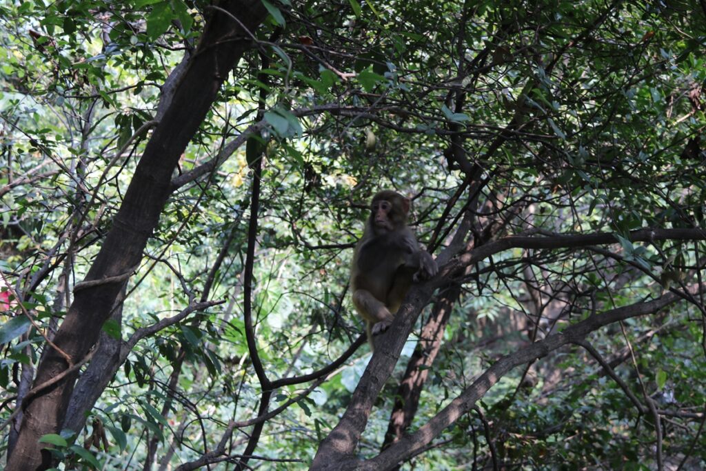 图片[97]-张家界天门山-2016年9月24日-聚微达人