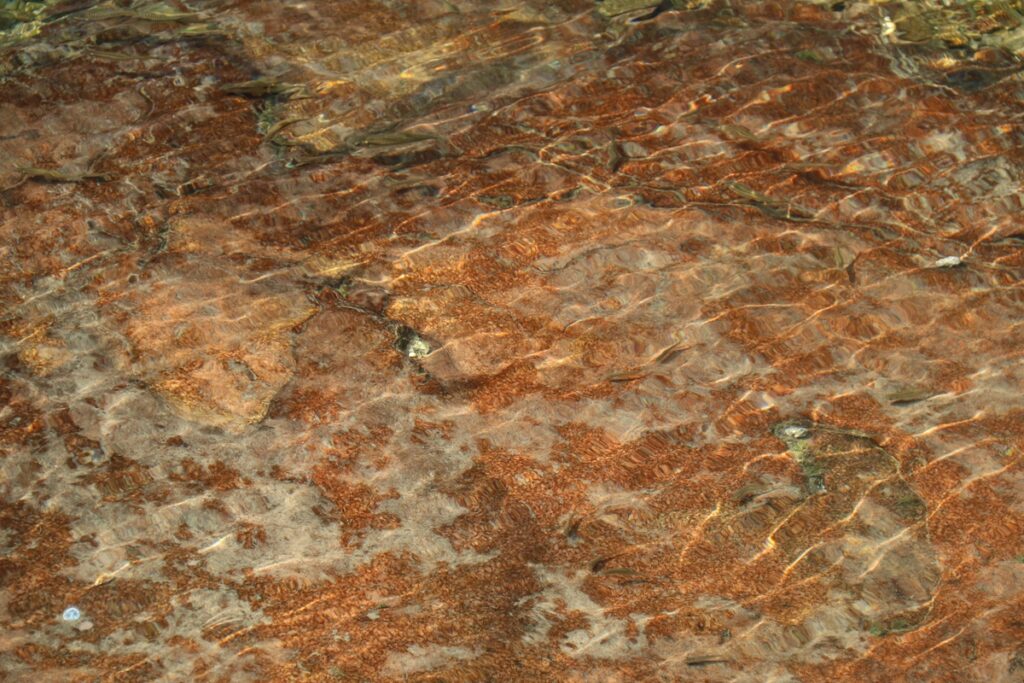 图片[101]-张家界天门山-2016年9月24日-聚微达人