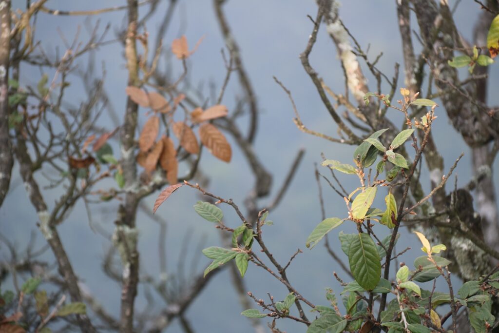 图片[111]-张家界天门山-2016年9月24日-聚微达人