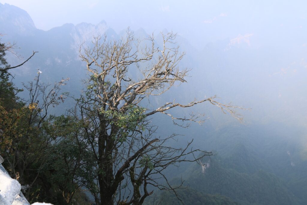 图片[112]-张家界天门山-2016年9月24日-聚微达人