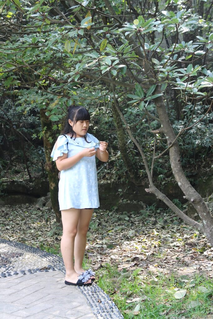 图片[123]-张家界天门山-2016年9月24日-聚微达人