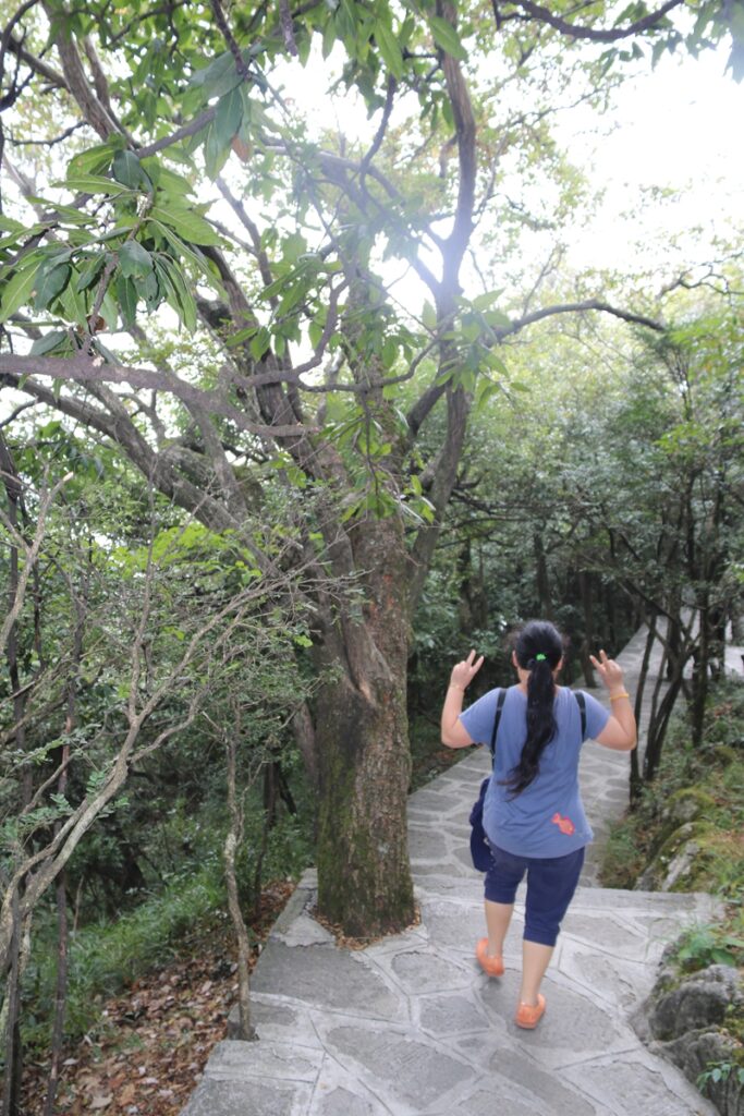 图片[133]-张家界天门山-2016年9月24日-聚微达人