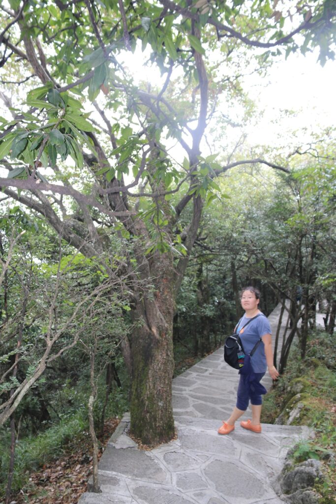 图片[134]-张家界天门山-2016年9月24日-聚微达人