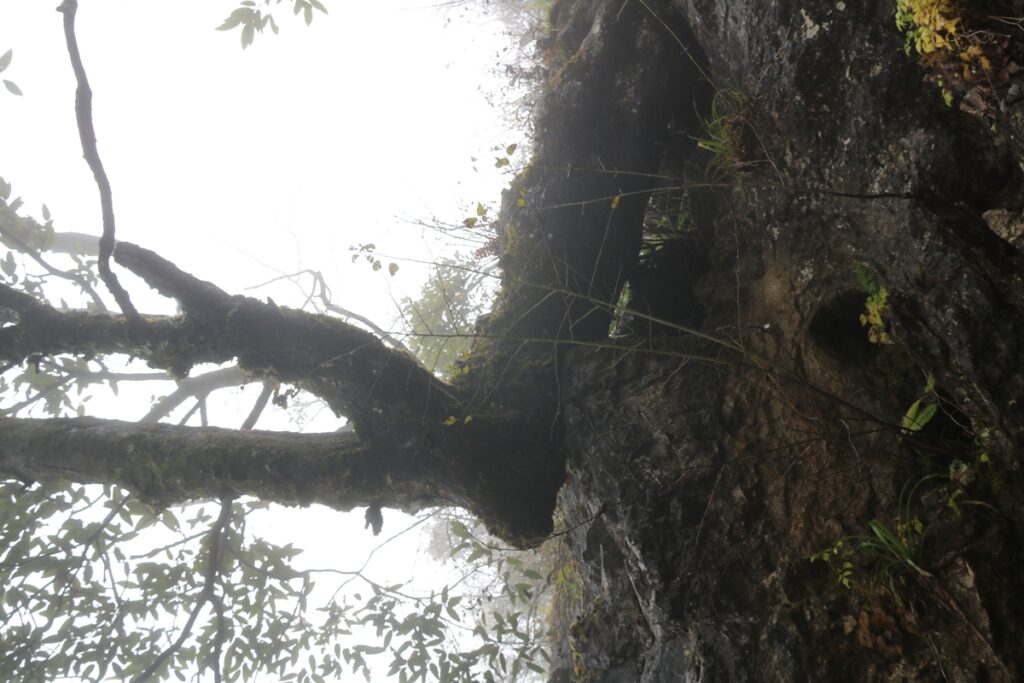 图片[13]-张家界天门山-2015年11月20日-聚微达人