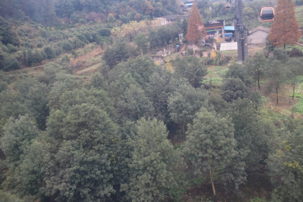 图片[4]-张家界天门山-2015年11月20日-聚微达人