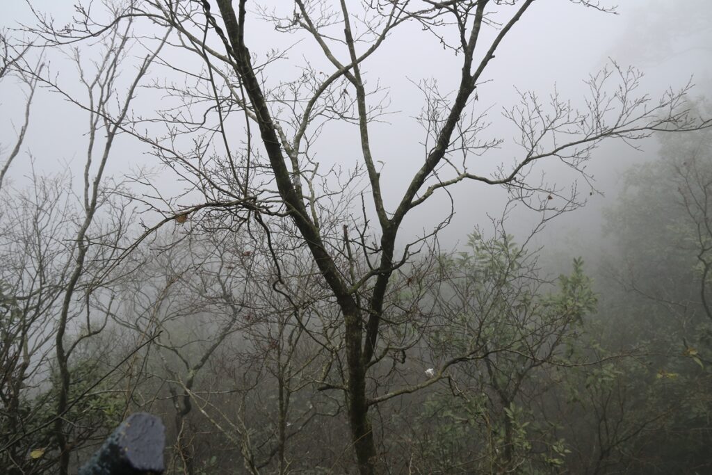 图片[15]-张家界天门山-2015年11月20日-聚微达人