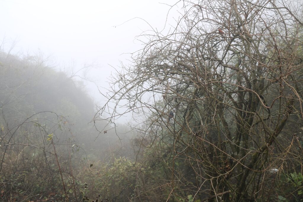 图片[11]-张家界天门山-2015年11月20日-聚微达人