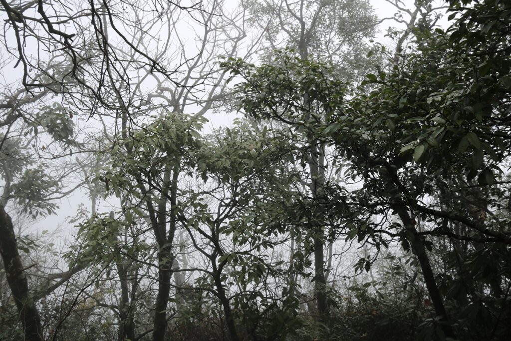 图片[19]-张家界天门山-2015年11月20日-聚微达人