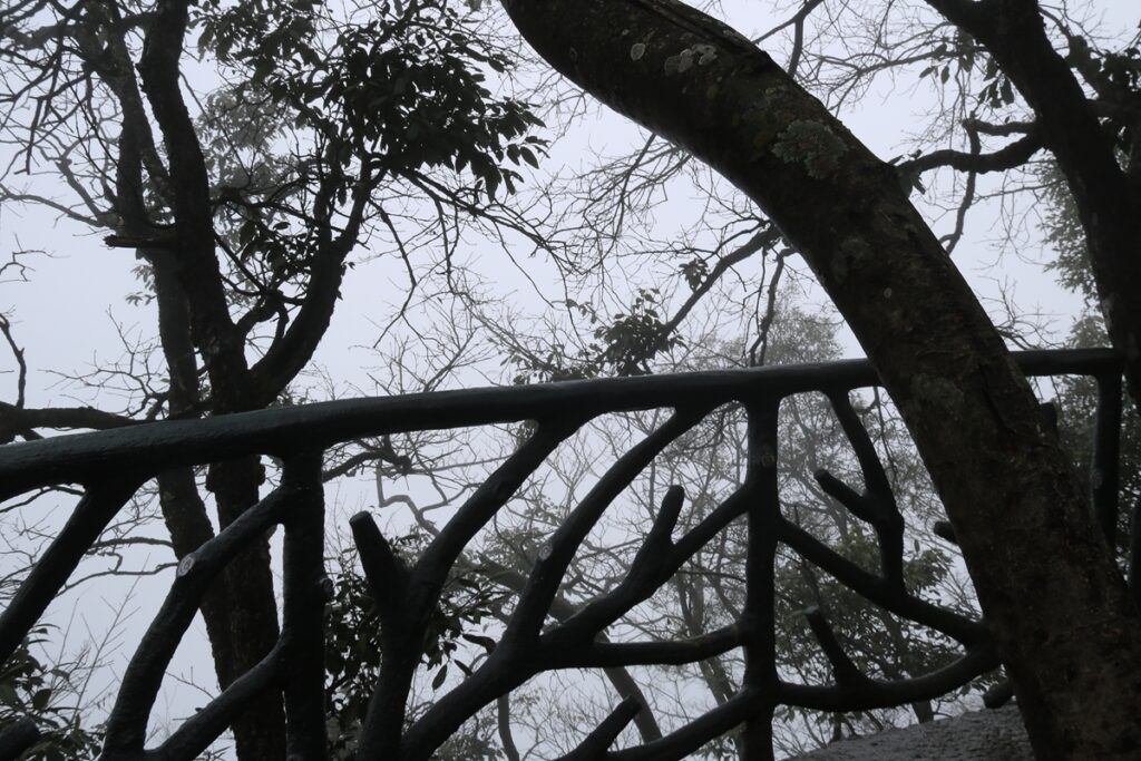 图片[18]-张家界天门山-2015年11月20日-聚微达人