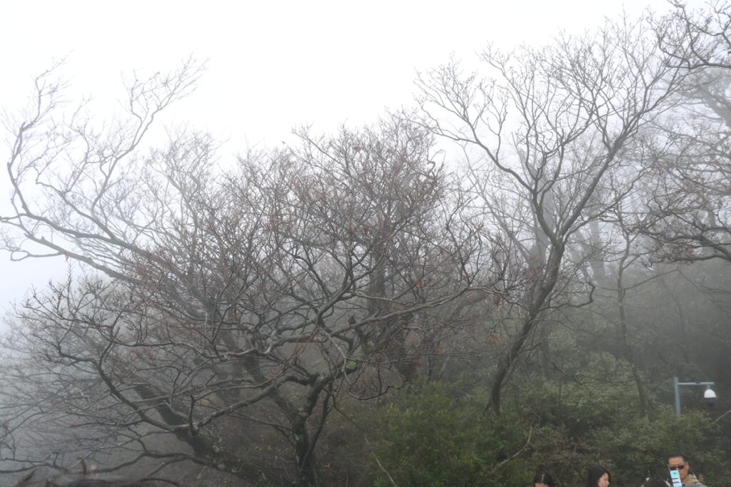 图片[30]-张家界天门山-2015年11月20日-聚微达人