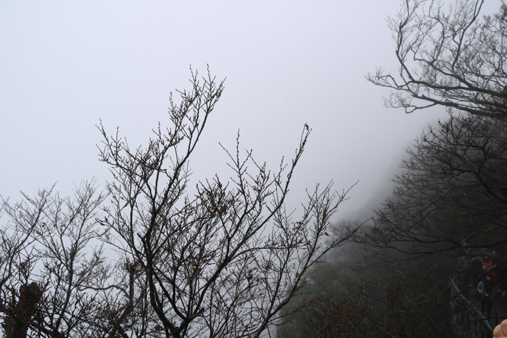 图片[29]-张家界天门山-2015年11月20日-聚微达人