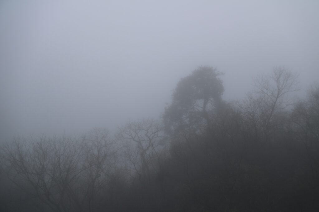 图片[49]-张家界天门山-2015年11月20日-聚微达人