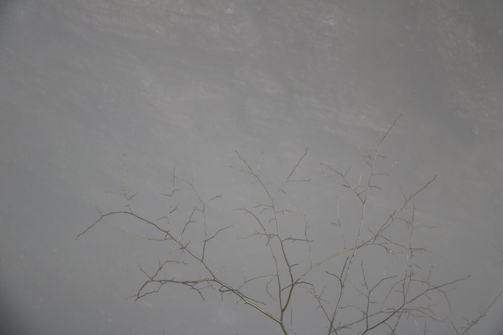 图片[78]-张家界天门山-2015年11月20日-聚微达人