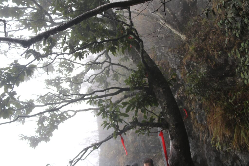 图片[84]-张家界天门山-2015年11月20日-聚微达人