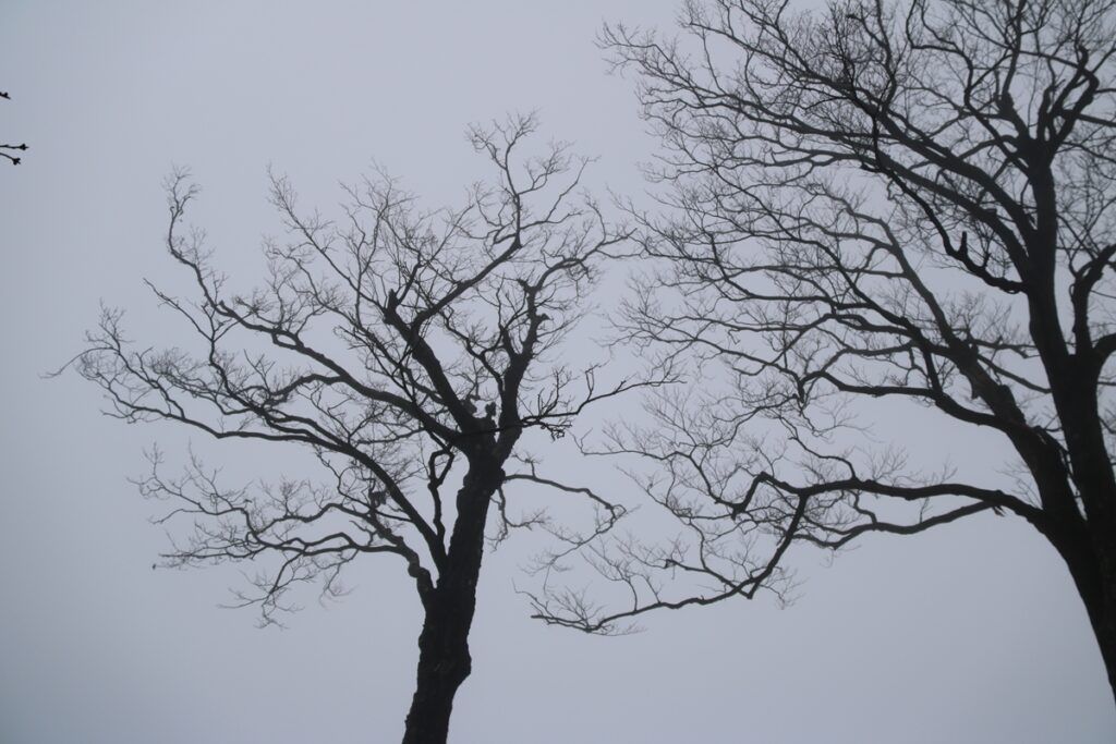 图片[93]-张家界天门山-2015年11月20日-聚微达人