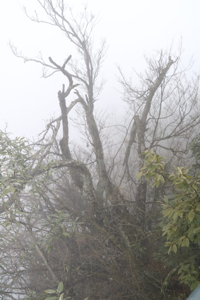 图片[98]-张家界天门山-2015年11月20日-聚微达人