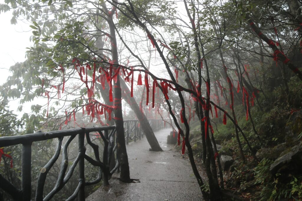 图片[89]-张家界天门山-2015年11月20日-聚微达人