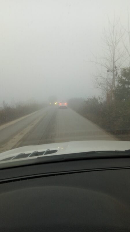 江汉水杉纪念碑-2016年12月17日-聚微达人