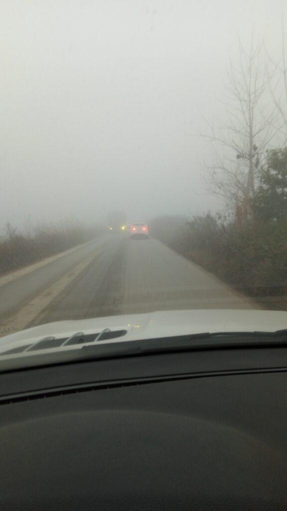 图片[1]-江汉水杉纪念碑-2016年12月17日-聚微达人