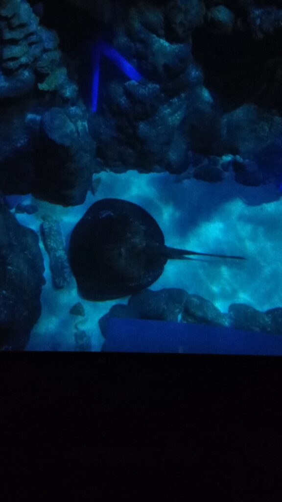 图片[9]-港澳三日游-2016年12月7日-聚微达人