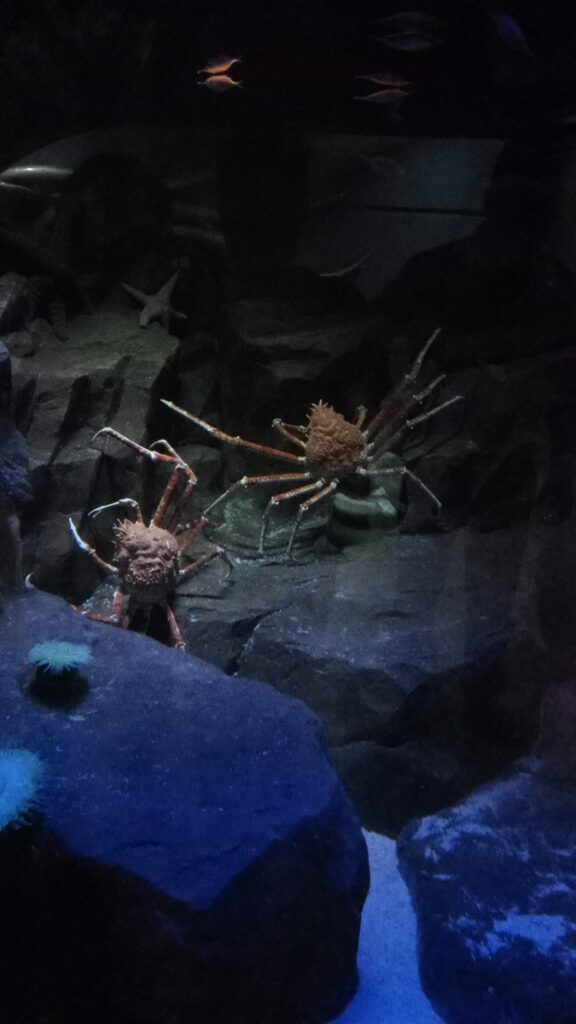 图片[11]-港澳三日游-2016年12月7日-聚微达人