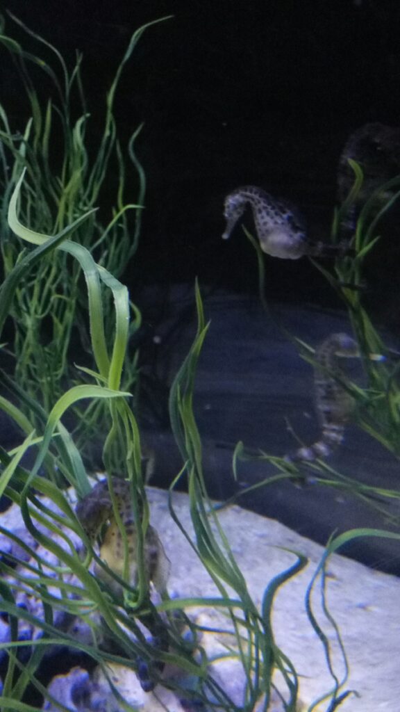 图片[8]-港澳三日游-2016年12月7日-聚微达人