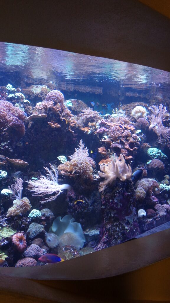 图片[5]-港澳三日游-2016年12月7日-聚微达人