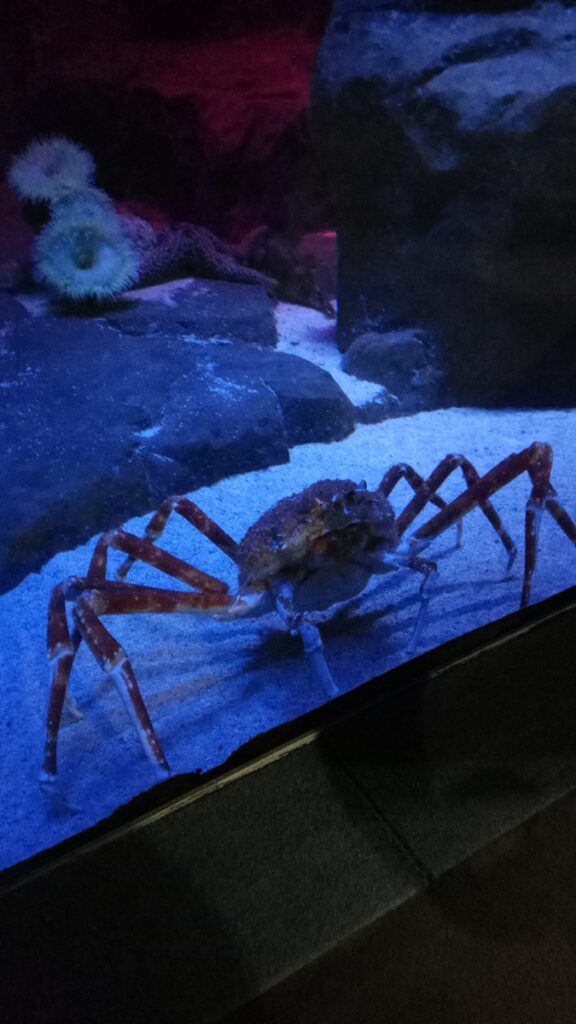 图片[12]-港澳三日游-2016年12月7日-聚微达人