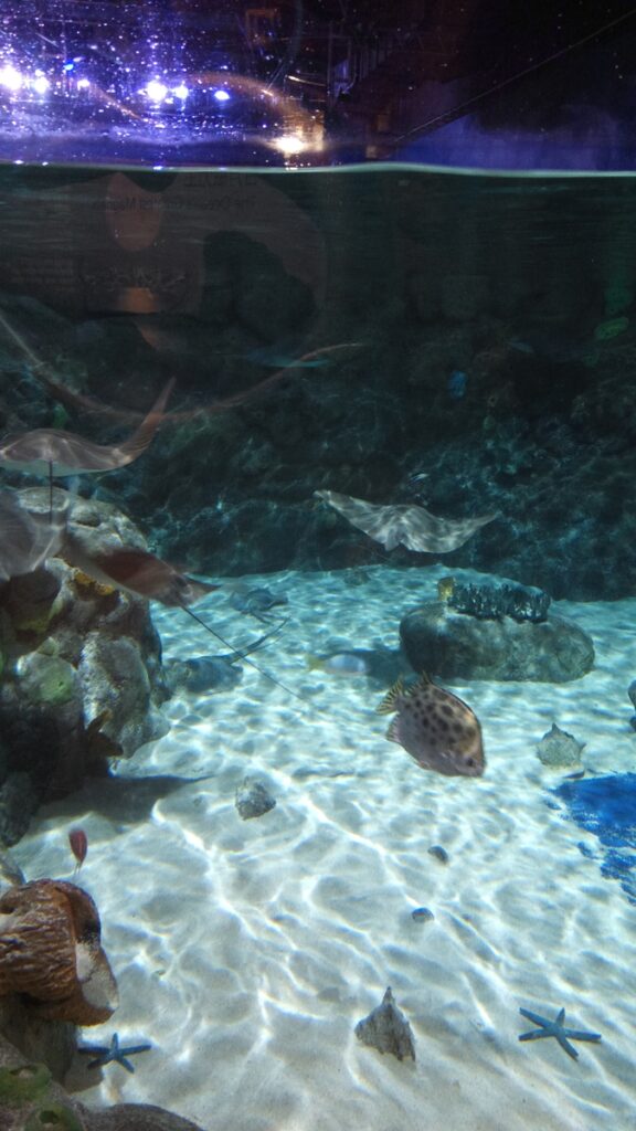 图片[7]-港澳三日游-2016年12月7日-聚微达人