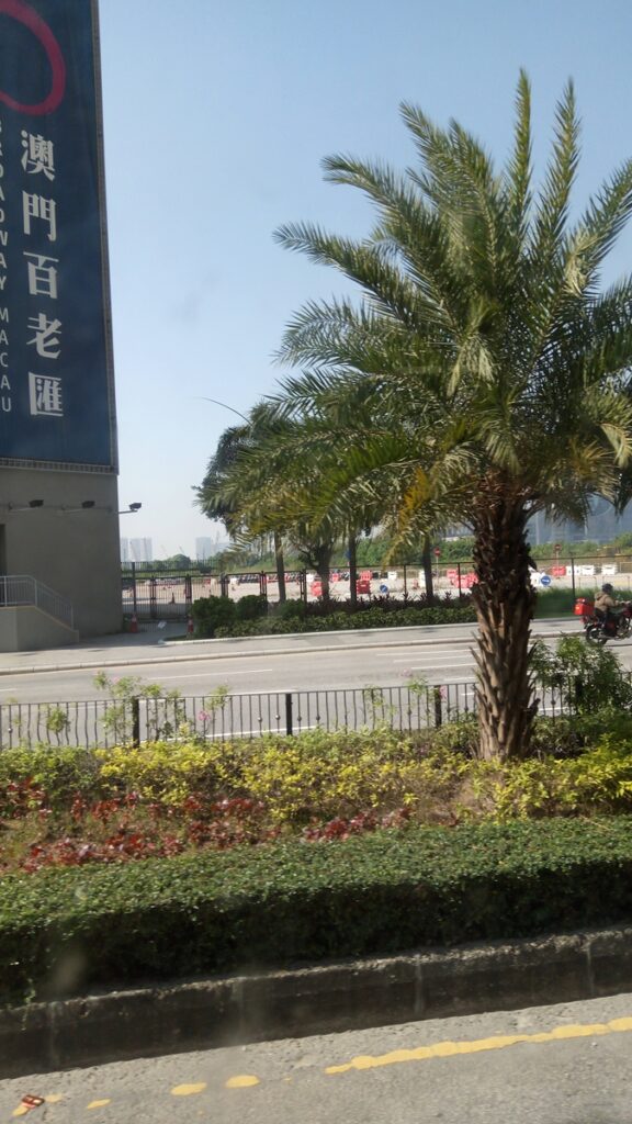 图片[34]-港澳三日游-2016年12月7日-聚微达人