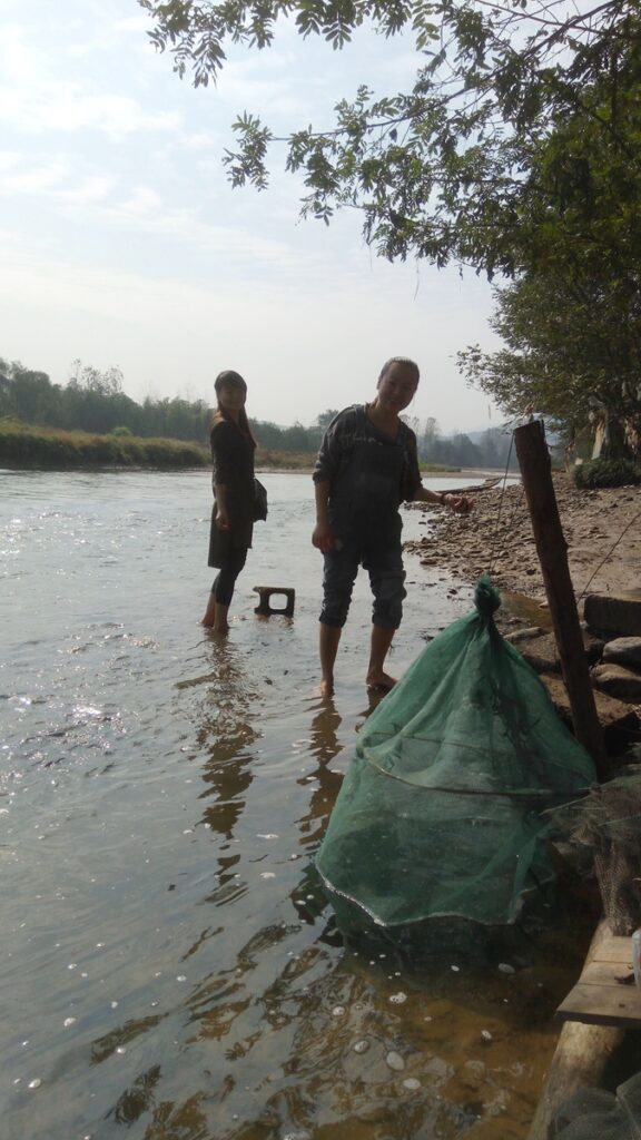 图片[2]-两个大美女-武潭2016年11月5日-聚微达人