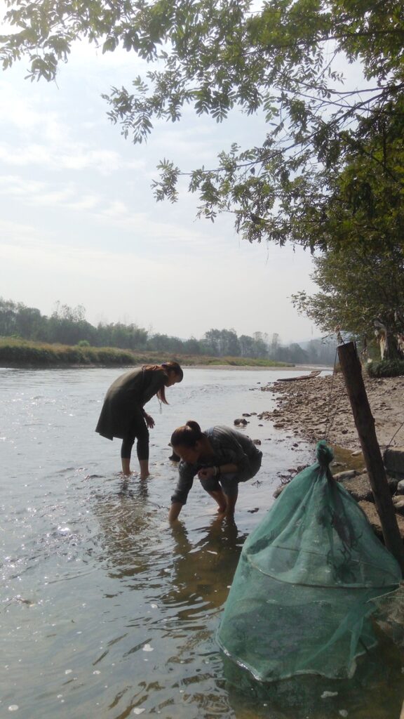 图片[1]-两个大美女-武潭2016年11月5日-聚微达人