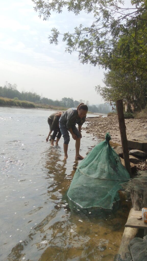 图片[4]-两个大美女-武潭2016年11月5日-聚微达人