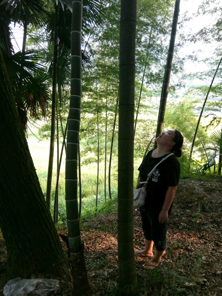 图片[14]-两个大美女-武潭2016年11月5日-聚微达人