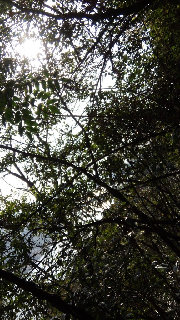 图片[3]-冬月的修山山顶-2016年11月26日-聚微达人